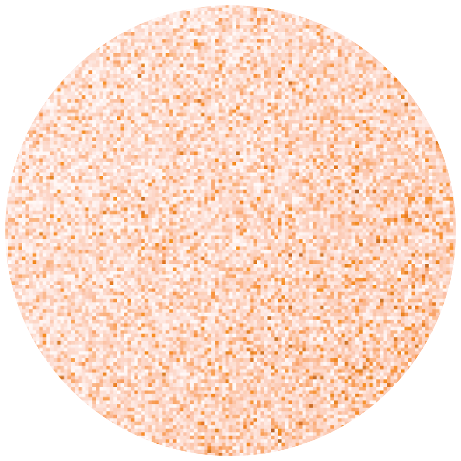 Textured Rose Gold Finish